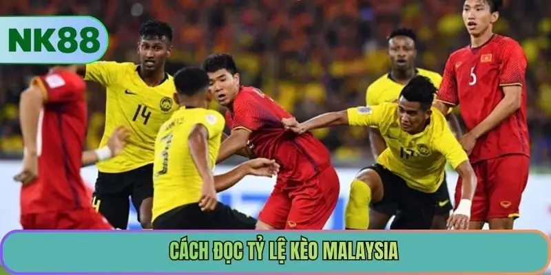 Cách đọc tỷ lệ kèo Malaysia