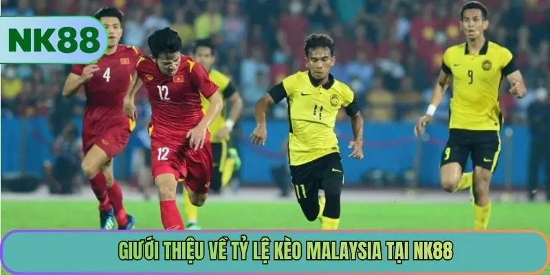 Giới thiệu về tỷ lệ kèo Malaysia tại NK88