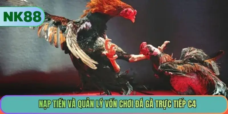Nạp tiền và quản lý vốn chơi đá gà trực tiếp c4